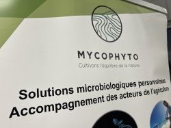 Une nouvelle levée de fonds de 4M€ pour Mycophyto qui marque l'ambition de l'ère industrielle