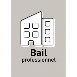 Bail Professionnel