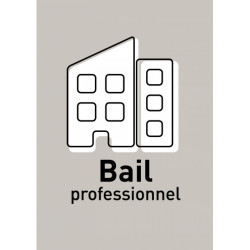 Bail Professionnel