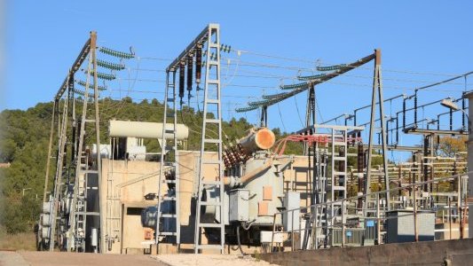 En Camargue, les associations vent debout contre un projet de ligne très haute tension