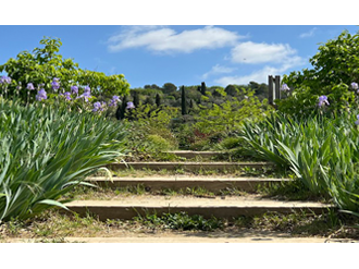 Les jardins du MIP à Mouans-Sartoux ouvrent leurs portes au public un mois plus tôt !