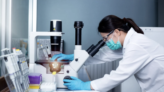 Cancérologie : Le Canceropôle Provence-Alpes-Côte d'Azur et Inserm Transfert renouvellent leur collaboration 