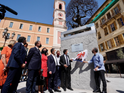 Place du Palais à Nice : L'oulivié est arrivé !
