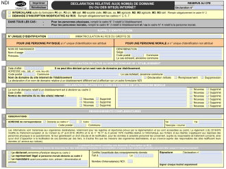 Formulaire NDI intercalaire : valable pour la déclaration relative au(x) nom(s) de domaine du ou des sites internet 