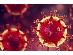 Coronavirus, une plateforme dédiée aux parents à Toulon