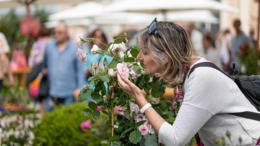 Villa Ephrussi de Rothschild : 15e Fête des Roses et des Plantes les samedi 2 et dimanche 3 mai 