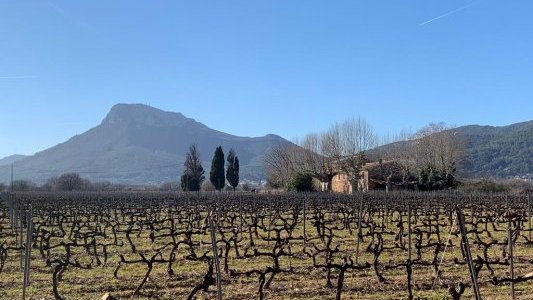 MYCOVIGNE, une réponse à l'enjeu de l'agriculture durable