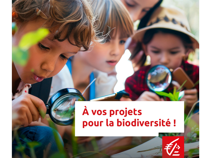 Protection de la biodiver
