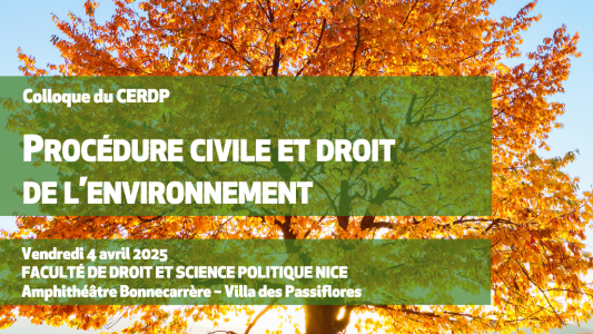 Colloque CERDP : « Procédure civile et droit de l'environnement »
