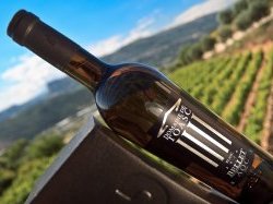 Vins d'été : le rosé très prisé du Domaine de Toasc, niché sur les hauteurs de Nice