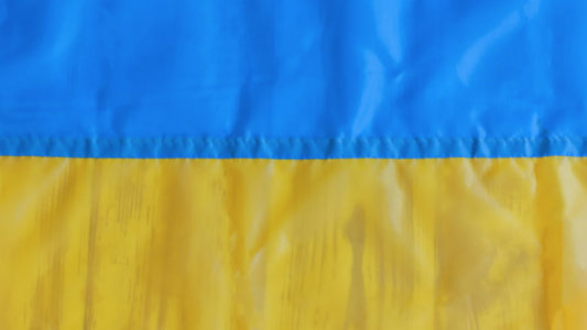 Toutes les Alpes-Maritimes se mobilisent pour aider l'Ukraine