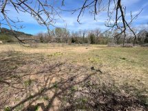 Neyrat Immobilier cultive son engagement durable avec un potager d'entreprise au Thoronet