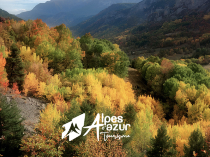 La Communauté Alpes (…)