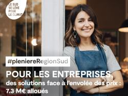 Plénière Région Sud : de nouvelles aides pour soutenir les entreprises 