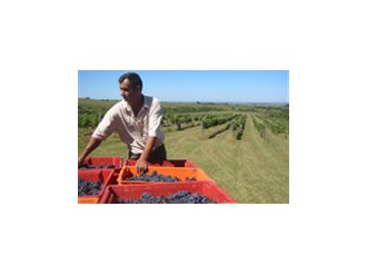 In vino aeternitas