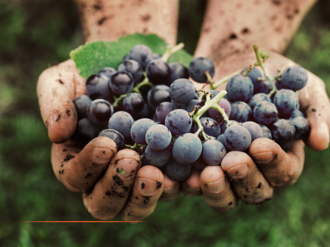 Le Crédit Agricole invest