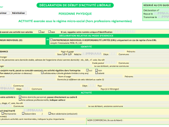 Formulaire P0 PL micro-entrepreneur : formulaire spécifique pour la déclaration d'une activité libérale sous le régime micro-social (hors professions réglementées) 