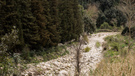 Sécheresse dans les Bouches-du-Rhône : trois secteurs maintenus en alerte renforcée