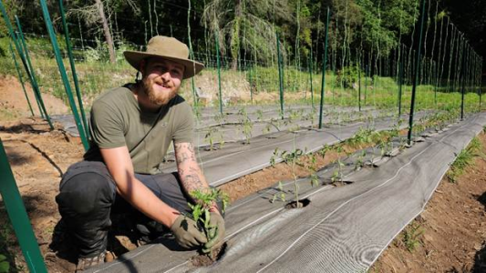 À Biot, le verger Saint-Éloi récolte les premiers fruits d'une ambition agricole locale