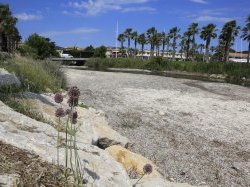 Enlèvement des feuilles mortes de posidonie à Sanary-sur-Mer