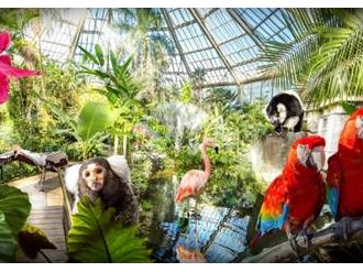 Parc Phoenix, fréquentation au top