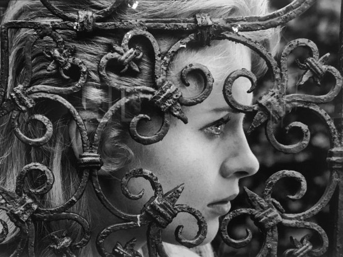 Expo : Henri Dauman, (…)