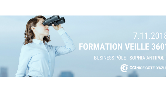 Formation CCI : Faire de la veille comme les grandes entreprises... C'est possible !