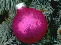 Consensus de Noël