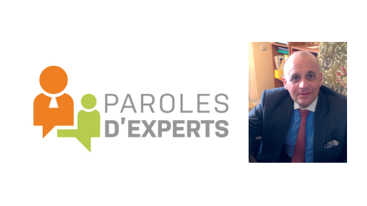 Domanialité publique et concurrence