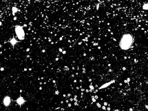 Le Frac Sud propose une constellation d'événements pour le mois d'août
