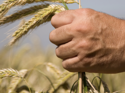  Agroalimentaire : les conséquences de la guerre