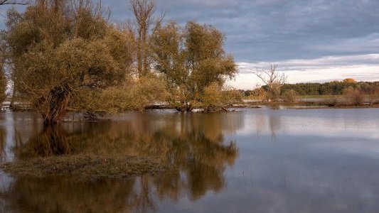 Reconnaissance de l'état de catastrophe naturelle - intempéries 2019/2020