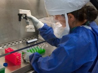 Coronavirus : LVMH produit du gel hydroalcoolique à destination des hôpitaux français 