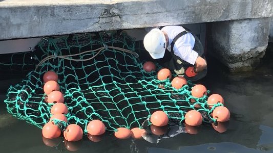 Cannes installe un filet de re ?cupe ?ration de microde ?chets sur un émissaire en mer, une première en milieu portuaire