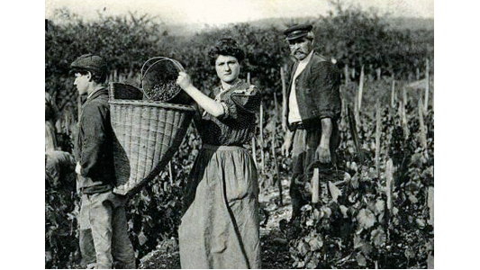 Foire aux vins : de vraies bonnes affaires... à mener avec précaution