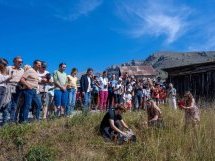 À Valberg, un râle des genêts et un faucon crécerelle retrouvent leur liberté après deux mois de soin