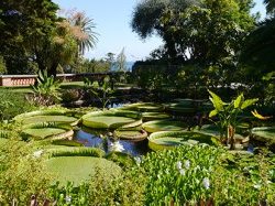 Le Festival des jardins fleurit dans tout le département