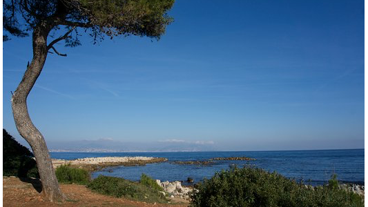 Boostez vos projets avec une séance de coaching au Cap d'Antibes avec DCF et ICF !