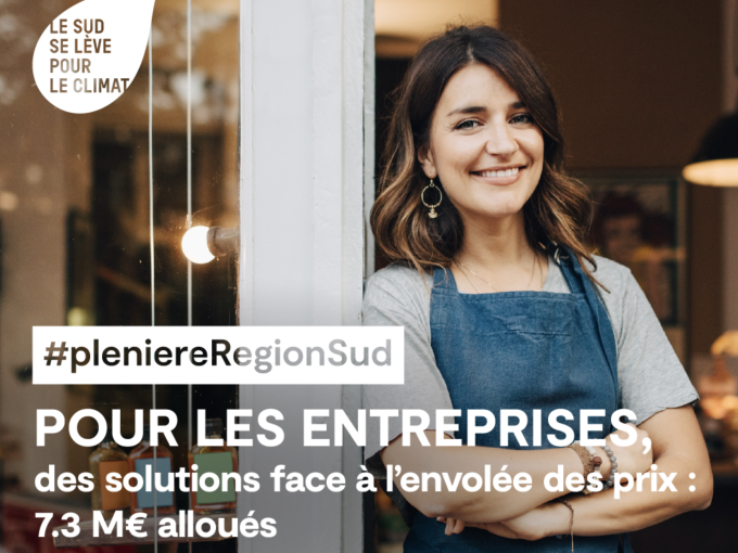 Plénière Région Sud : (…)