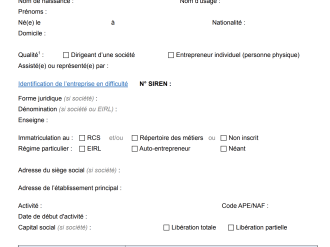 Requête aux fins d'ouverture d'une procédure de conciliation
