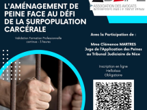 L'ADAIPE clôture l'année avec une formation sur l'aménagement de peine face à la surpopulation carcérale