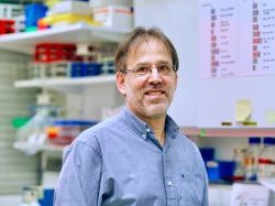 Rob Arkowitz de l'institut de biologie Valrose, élu membre de l'American Academy of Microbiology