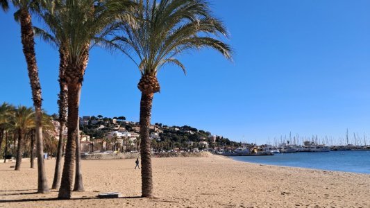 Dans le Var, face à l'érosion des plages, le plan de bataille des communes du littoral