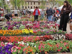 À La Garde, la Foire aux Plants a célébré le printemps