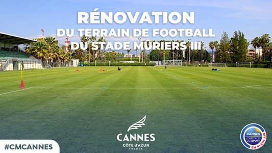 Stade des Mûriers III : la mairie installe une pelouse de haute qualité 