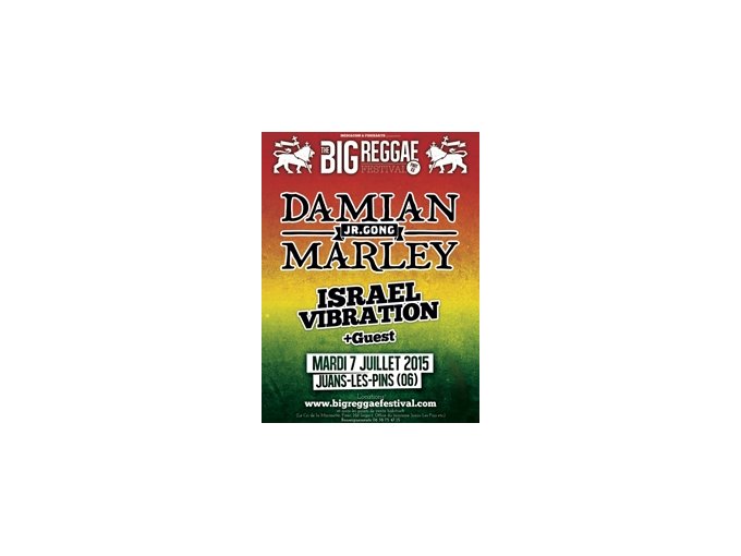 THE BIG REGGAE FESTIVAL -