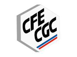 CFE-CGC : Le prélèvement à la source de l'impôt, une fausse bonne idée ?