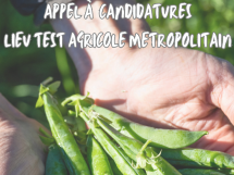 Un tremplin unique pour les futurs agriculteurs en métropole niçoise : Testez votre projet agricole sur un site équipé et accompagné !