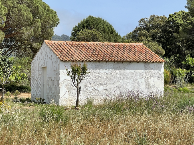 Veni, vidi... vite dit,