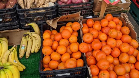 La préfecture délivre le permis de construire du futur Marché d'Intérêt National (MIN) de Nice